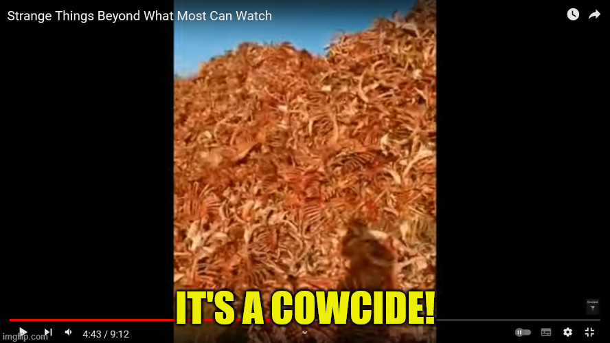 THE CURRENT COWCIDE | IT'S A COWCIDE! | image tagged in the current cowcide | made w/ Imgflip meme maker