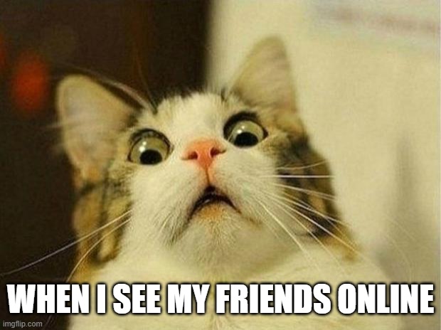 Scared Cat Meme | WHEN I SEE MY FRIENDS ONLINE | image tagged in memes,scared cat | made w/ Imgflip meme maker