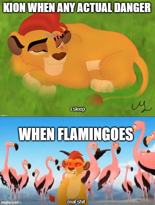 Sleeping Kion | KION WHEN ANY ACTUAL DANGER; WHEN FLAMINGOES | image tagged in sleeping kion | made w/ Imgflip meme maker