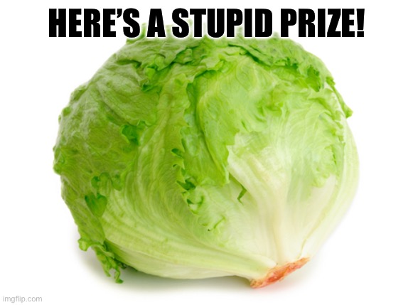 Lettuce  | HERE’S A STUPID PRIZE! | image tagged in lettuce | made w/ Imgflip meme maker