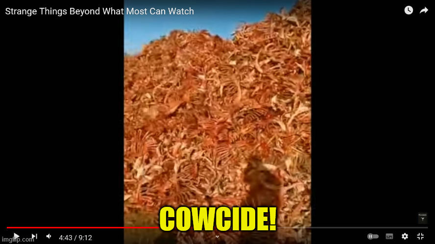 Be aware, and Make it Viral! | COWCIDE! | image tagged in the current cowcide | made w/ Imgflip meme maker
