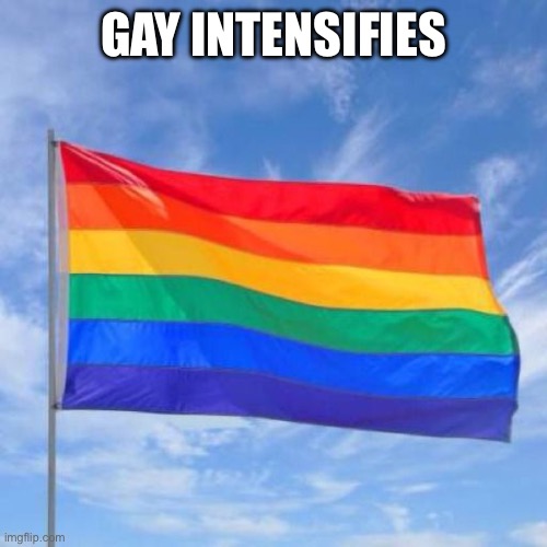 Gay pride flag | GAY INTENSIFIES | image tagged in gay pride flag | made w/ Imgflip meme maker