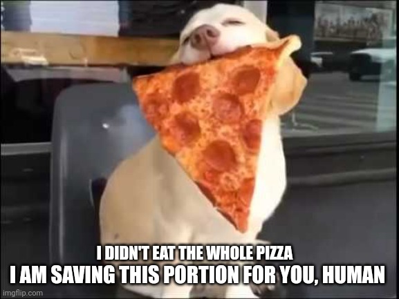 PIZZA SPIRIT ANIMAL | I AM SAVING THIS PORTION FOR YOU, HUMAN; I DIDN'T EAT THE WHOLE PIZZA | image tagged in pizza spirit animal | made w/ Imgflip meme maker