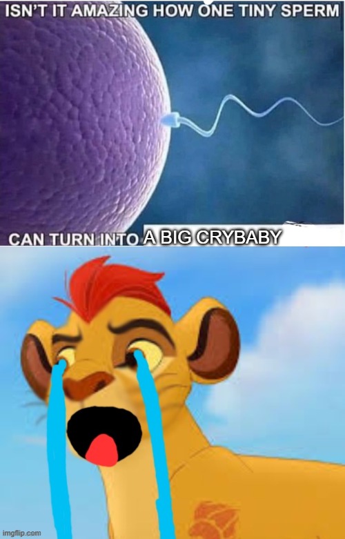 A BIG CRYBABY | image tagged in isnt it amazing how one tiny sperm can turn into,extreme crying kion crybaby | made w/ Imgflip meme maker