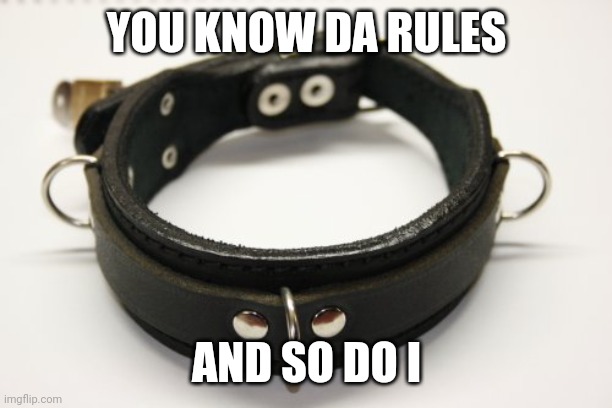 bdsm collar | YOU KNOW DA RULES AND SO DO I | image tagged in bdsm collar | made w/ Imgflip meme maker