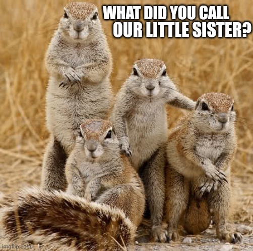 World Animal Day 2015 | WHAT DID YOU CALL; OUR LITTLE SISTER? | image tagged in world animal day 2015 | made w/ Imgflip meme maker