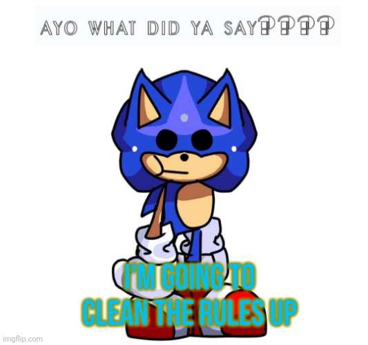 Sunky.Mpeg AYO WHAT DID YA SAY??? | I'M GOING TO CLEAN THE RULES UP | image tagged in sunky mpeg ayo what did ya say | made w/ Imgflip meme maker
