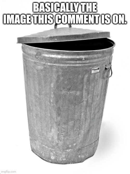 Trash Can | BASICALLY THE IMAGE THIS COMMENT IS ON. | image tagged in trash can | made w/ Imgflip meme maker