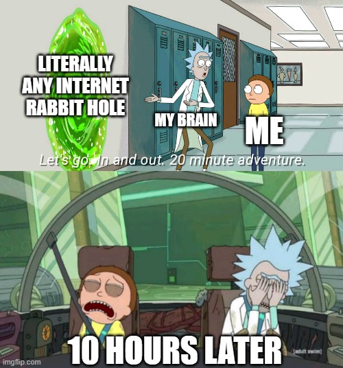 bet this happened to everyone at least once | LITERALLY ANY INTERNET RABBIT HOLE; MY BRAIN; ME; 10 HOURS LATER | image tagged in 20 minute adventure rick morty,hey internet,dank memes,memes,rick and morty | made w/ Imgflip meme maker