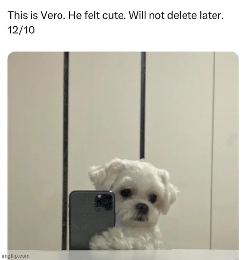 image tagged in wholesome | made w/ Imgflip meme maker