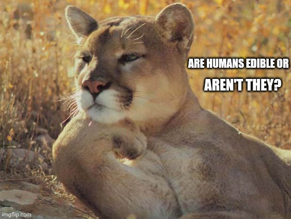 Thinking cat | ARE HUMANS EDIBLE OR; AREN'T THEY? | image tagged in thinking cat | made w/ Imgflip meme maker