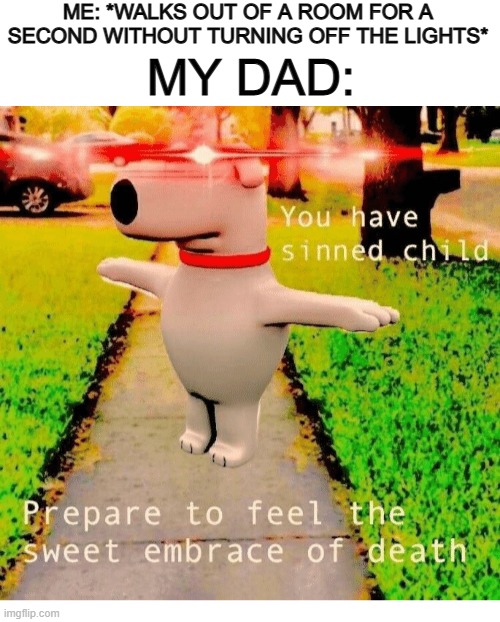 Calm down dad :[] | ME: *WALKS OUT OF A ROOM FOR A SECOND WITHOUT TURNING OFF THE LIGHTS*; MY DAD: | image tagged in blank white template,you have sinned child prepare to feel the sweet embrace of death | made w/ Imgflip meme maker