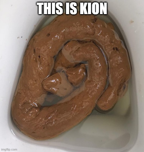 Curly shit | THIS IS KION | image tagged in curly shit | made w/ Imgflip meme maker