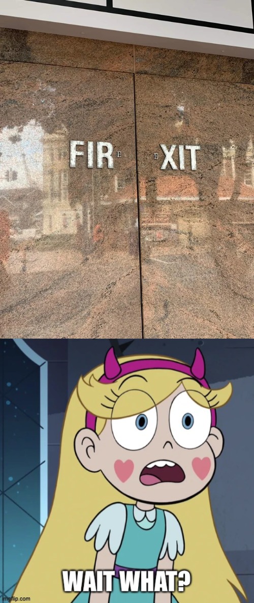 image tagged in star butterfly wait what,you had one job,star vs the forces of evil,memes | made w/ Imgflip meme maker