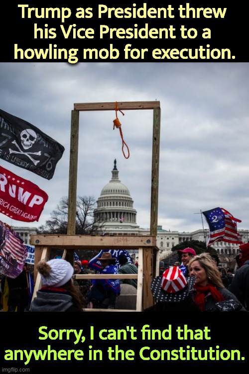 Mike Pence and his grateful boss. | Trump as President threw 
his Vice President to a 
howling mob for execution. Sorry, I can't find that anywhere in the Constitution. | image tagged in capitol riot insurrection coup mike pence gallows noose hanging,donald trump,mike pence,hanging,execution,coup | made w/ Imgflip meme maker