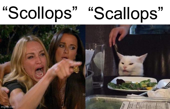 Scallops | “Scollops”; “Scallops” | image tagged in memes,woman yelling at cat | made w/ Imgflip meme maker