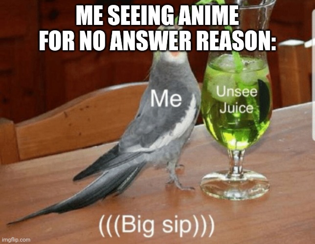 BIG SIP | ME SEEING ANIME FOR NO ANSWER REASON: | image tagged in unsee juice | made w/ Imgflip meme maker