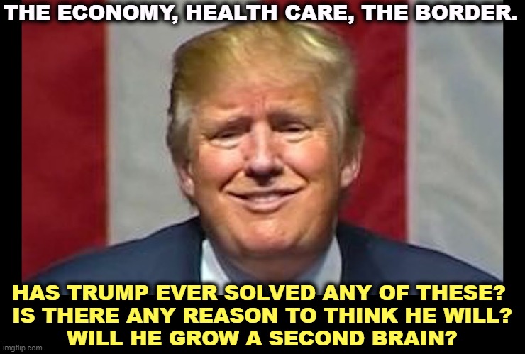 He whines and insults, but nothing actually ever gets better. | THE ECONOMY, HEALTH CARE, THE BORDER. HAS TRUMP EVER SOLVED ANY OF THESE? 
IS THERE ANY REASON TO THINK HE WILL?
WILL HE GROW A SECOND BRAIN? | image tagged in economy,health care,border,trump,incompetence | made w/ Imgflip meme maker