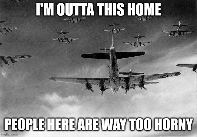 B-17 to Germany | I'M OUTTA THIS HOME PEOPLE HERE ARE WAY TOO HORNY | image tagged in b-17 to germany | made w/ Imgflip meme maker