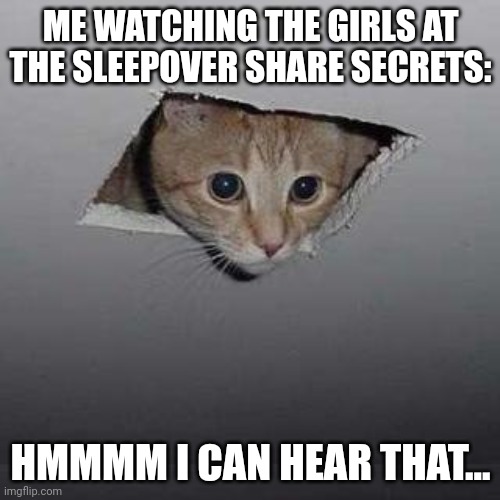 A surprise to the ears | ME WATCHING THE GIRLS AT THE SLEEPOVER SHARE SECRETS:; HMMMM I CAN HEAR THAT... | image tagged in memes,ceiling cat | made w/ Imgflip meme maker