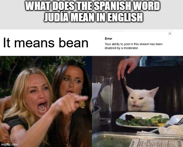Woman Yelling At Cat | WHAT DOES THE SPANISH WORD 
JUDÍA MEAN IN ENGLISH; It means bean | image tagged in memes,woman yelling at cat | made w/ Imgflip meme maker