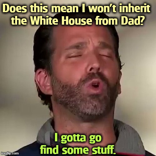 A mind is a terrible thing to waste, but him, not so much. | Does this mean I won't inherit 
the White House from Dad? I gotta go find some stuff. | image tagged in donald trump jr don jr cocaine,donald trump jr,white house,habits | made w/ Imgflip meme maker