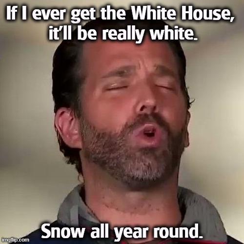 Jingle bells, jingle bells, Ho Ho Ho! | If I ever get the White House, 
it'll be really white. Snow all year round. | image tagged in donald trump jr don jr cocaine,donald trump jr,white house,snow,habits,don't do drugs | made w/ Imgflip meme maker
