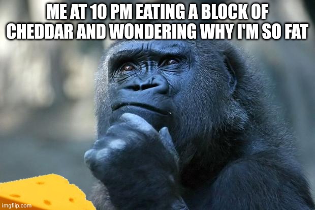 Deep Thoughts | ME AT 10 PM EATING A BLOCK OF CHEDDAR AND WONDERING WHY I'M SO FAT | image tagged in deep thoughts,cheese | made w/ Imgflip meme maker