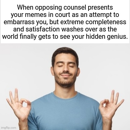 That Moment When You Know You've Made It | When opposing counsel presents your memes in court as an attempt to embarrass you, but extreme completeness and satisfaction washes over as the world finally gets to see your hidden genius. | image tagged in memes,funny memes,court,happiness,satisfaction,purpose | made w/ Imgflip meme maker