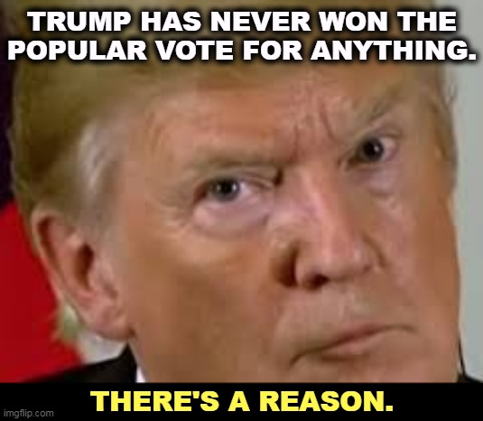 Pinwheels | TRUMP HAS NEVER WON THE POPULAR VOTE FOR ANYTHING. THERE'S A REASON. | image tagged in trump eyes dilated,donald trump,popular vote,loser,always | made w/ Imgflip meme maker