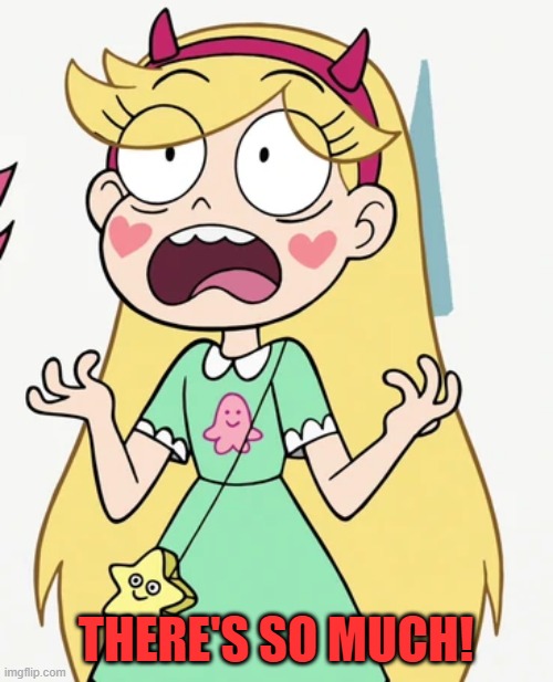 Star Butterfly Freaked out | THERE'S SO MUCH! | image tagged in star butterfly freaked out | made w/ Imgflip meme maker