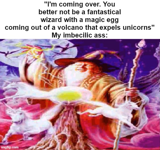 Fantastical wizard | "I'm coming over. You better not be a fantastical wizard with a magic egg coming out of a volcano that expels unicorns"
My imbecilic ass: | image tagged in fantastical wizard | made w/ Imgflip meme maker