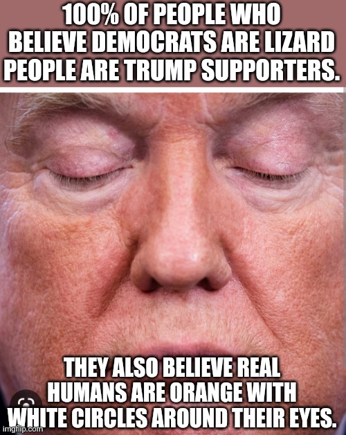 Magawhine | 100% OF PEOPLE WHO BELIEVE DEMOCRATS ARE LIZARD PEOPLE ARE TRUMP SUPPORTERS. THEY ALSO BELIEVE REAL HUMANS ARE ORANGE WITH WHITE CIRCLES AROUND THEIR EYES. | image tagged in trump,conservative,republican,democrat,liberal,shapeshifting lizard | made w/ Imgflip meme maker