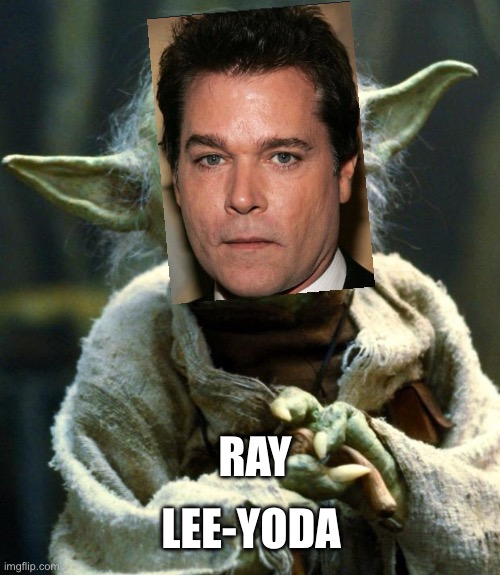 Star Wars Yoda Meme | LEE-YODA; RAY | image tagged in memes,star wars yoda | made w/ Imgflip meme maker