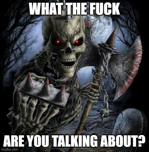 badass skeleton | WHAT THE FUCK ARE YOU TALKING ABOUT? | image tagged in badass skeleton | made w/ Imgflip meme maker