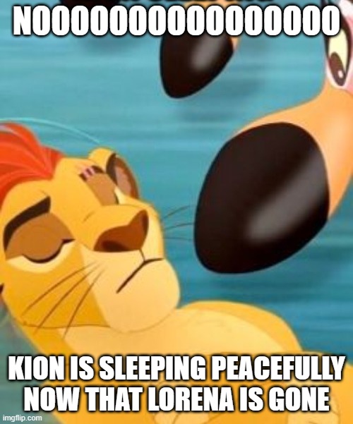 Nooooooooooooooooooooooooooooooooooooooooooo | NOOOOOOOOOOOOOOOO; KION IS SLEEPING PEACEFULLY NOW THAT LORENA IS GONE | image tagged in kion sleeping for no reason | made w/ Imgflip meme maker