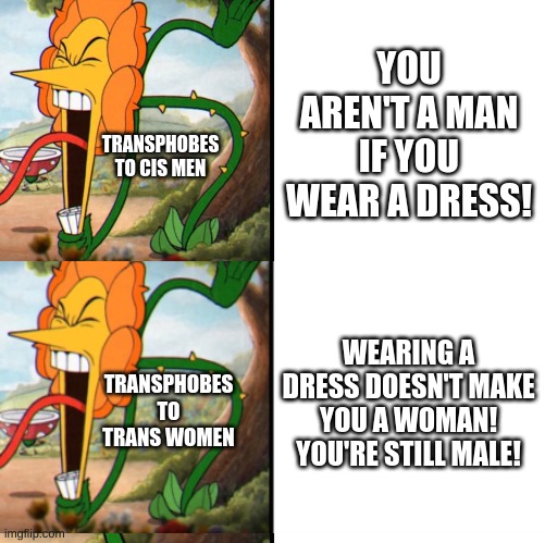 Wait so if a cis man wears a dress, he's not a man, and if a trans woman wears a dress, she's  a man? | YOU AREN'T A MAN IF YOU WEAR A DRESS! TRANSPHOBES TO CIS MEN; WEARING A DRESS DOESN'T MAKE YOU A WOMAN! YOU'RE STILL MALE! TRANSPHOBES TO TRANS WOMEN | image tagged in angry flower | made w/ Imgflip meme maker