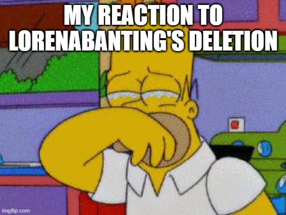 Homer Simpson Crying | MY REACTION TO LORENABANTING'S DELETION | image tagged in homer simpson crying | made w/ Imgflip meme maker