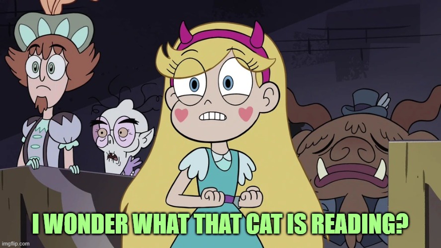 Star butterfly | I WONDER WHAT THAT CAT IS READING? | image tagged in star butterfly | made w/ Imgflip meme maker