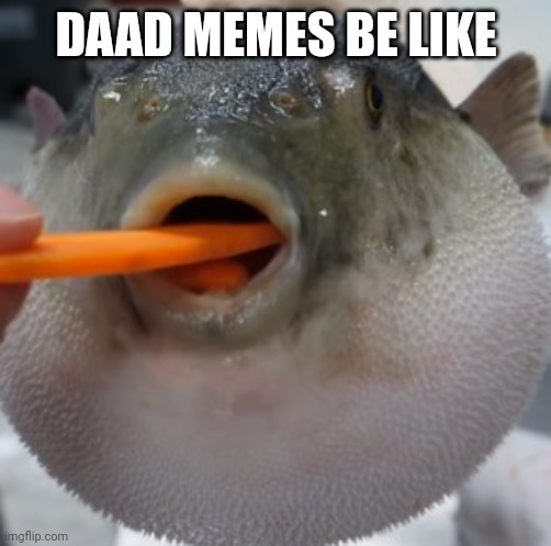 pufferfish eating carrot | DAAD MEMES BE LIKE | image tagged in pufferfish eating carrot | made w/ Imgflip meme maker