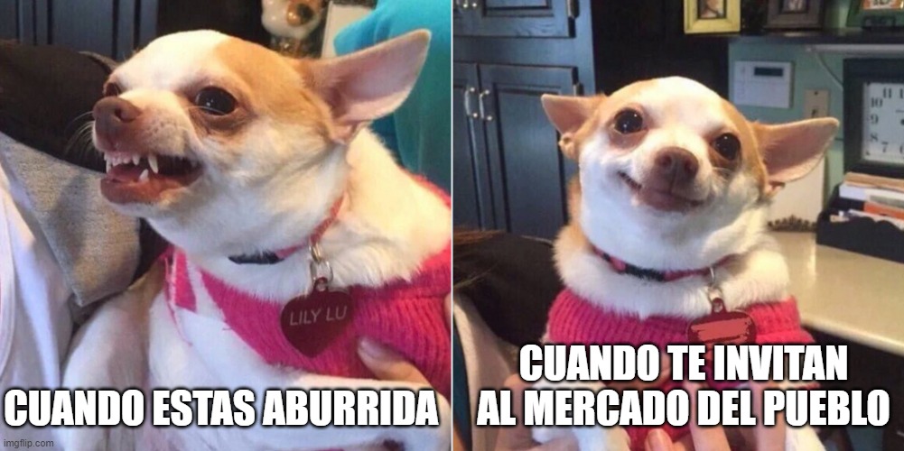 perro enojado y feliz / dog angry | CUANDO TE INVITAN AL MERCADO DEL PUEBLO; CUANDO ESTAS ABURRIDA | image tagged in perro enojado y feliz / dog angry | made w/ Imgflip meme maker