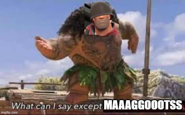 What can i say except aaaaaaaaaaa | MAAAGGOOOTSS | image tagged in what can i say except aaaaaaaaaaa | made w/ Imgflip meme maker