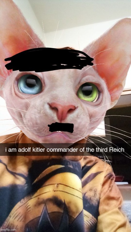 this isn't a reposted shitpost... it's actually my dumbass snap | made w/ Imgflip meme maker