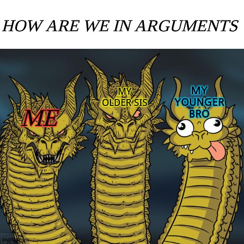 Siblings argueing power. | HOW ARE WE IN ARGUMENTS; MY YOUNGER BRO; MY OLDER SIS; ME | image tagged in three-headed dragon | made w/ Imgflip meme maker