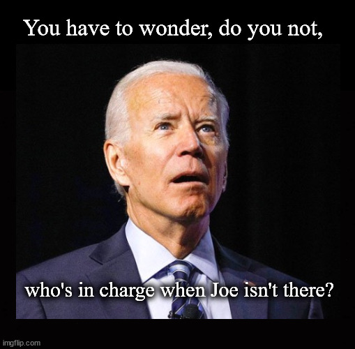 who's in charge when Joe isn't there? | You have to wonder, do you not, who's in charge when Joe isn't there? | image tagged in biden,biden dementia,cognitive degradation,cognitive testing | made w/ Imgflip meme maker