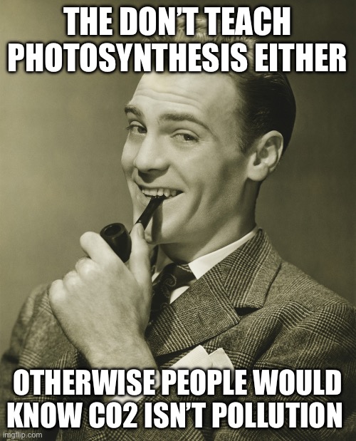 Smug | THE DON’T TEACH PHOTOSYNTHESIS EITHER OTHERWISE PEOPLE WOULD KNOW CO2 ISN’T POLLUTION | image tagged in smug | made w/ Imgflip meme maker