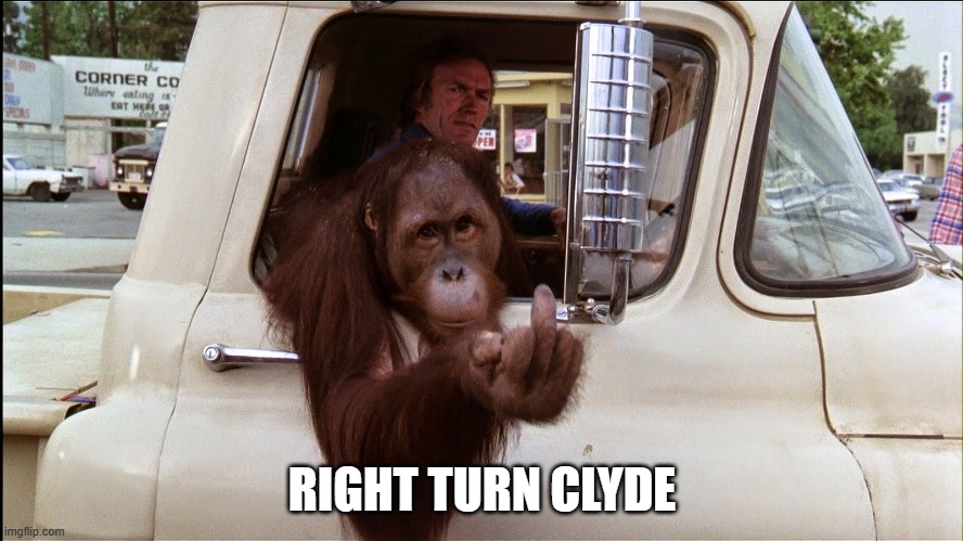 every which way | RIGHT TURN CLYDE | image tagged in right turn clyde | made w/ Imgflip meme maker
