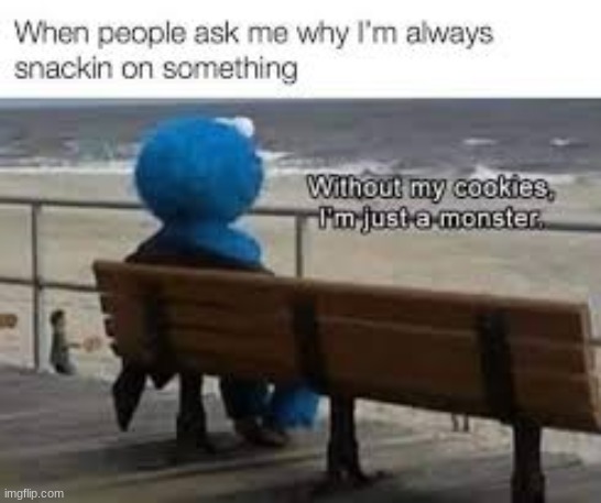 This made me sad but also made me crave cookies, I'm gonna go make some rn I'll be back | image tagged in memes,funny,relatable,cookie monster,i never know what to put for tags | made w/ Imgflip meme maker