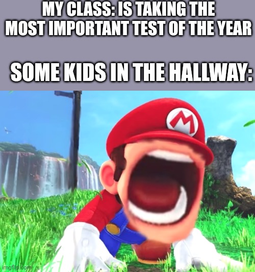 99% chance of spawning a screaming kid during a test | MY CLASS: IS TAKING THE MOST IMPORTANT TEST OF THE YEAR; SOME KIDS IN THE HALLWAY: | image tagged in mario screaming,test,school,that one kid,oh wow are you actually reading these tags | made w/ Imgflip meme maker