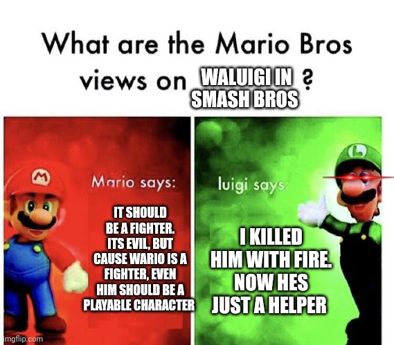 Yep, luigi killed waluigi in smash bros | WALUIGI IN SMASH BROS; IT SHOULD BE A FIGHTER. ITS EVIL, BUT CAUSE WARIO IS A FIGHTER, EVEN HIM SHOULD BE A PLAYABLE CHARACTER; I KILLED HIM WITH FIRE.
NOW HES JUST A HELPER | image tagged in mario bros views,super smash bros,waluigi | made w/ Imgflip meme maker